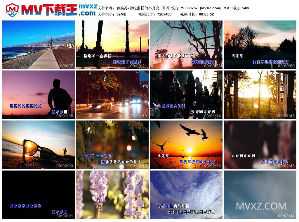 蒋婉婷-偷吃蛋糕的小月亮_国语_流行_YF500757